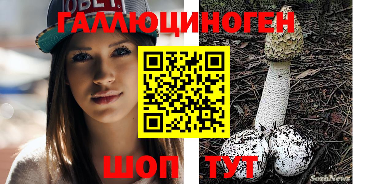 Воткинск  Псилоцибиновые грибы Psilocybe  Вход с VPN 