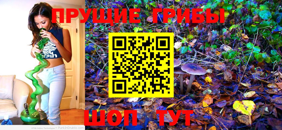 Галлюциногенные грибы Psilocybine cubensis Воткинск
